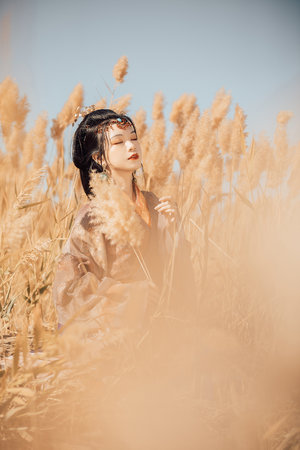 帝王之妾在线